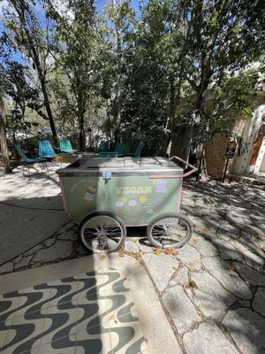 Vegan ice cream   at Yom Yom Foodtique in Tulum