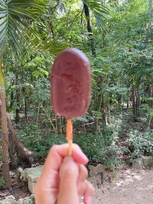 Orange 🍊 frozen cake with dark chocolate  at Yom Yom Foodtique in Tulum