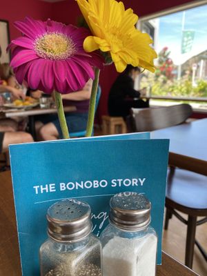  Bonobo Cafe, Sumner at Bonobo Cafe in Christchurch