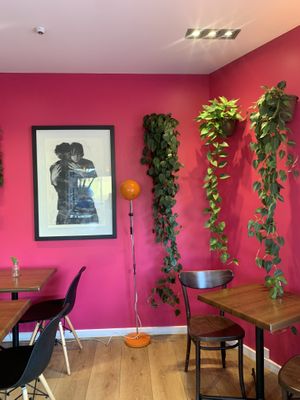 Bright inside  at Bonobo Cafe in Christchurch