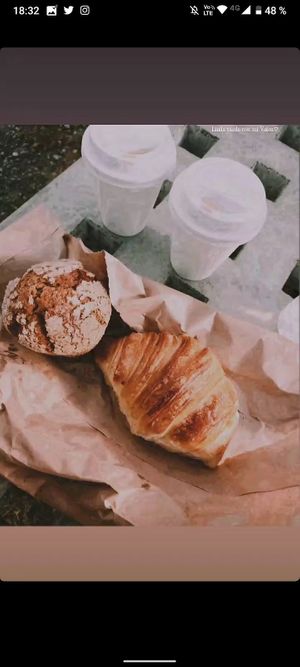  at Isla Vegana in Ushuaia