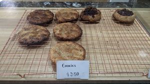  at Isla Vegana in Ushuaia