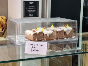 Lingote del dia at Isla Vegana in Ushuaia