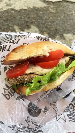 Seitan sandwich at Isla Vegana in Ushuaia