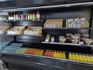  at Isla Vegana in Ushuaia