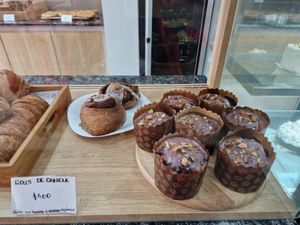  at Isla Vegana in Ushuaia