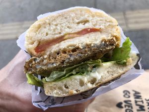 Garibaldi at Isla Vegana in Ushuaia