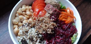  at Isla Vegana in Ushuaia