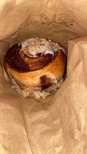   at Isla Vegana in Ushuaia