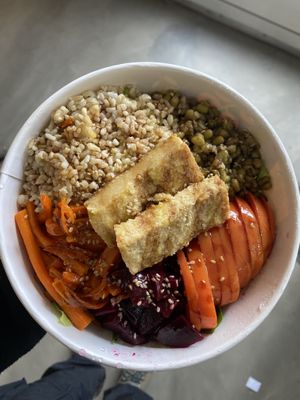   at Isla Vegana in Ushuaia