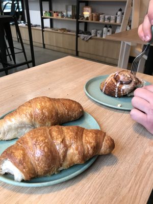   at Isla Vegana in Ushuaia