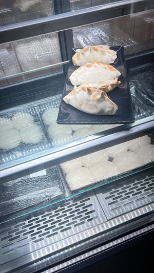   at Isla Vegana in Ushuaia