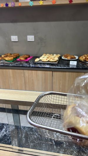   at Isla Vegana in Ushuaia