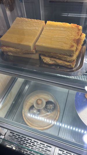   at Isla Vegana in Ushuaia