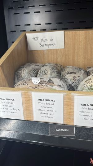   at Isla Vegana in Ushuaia