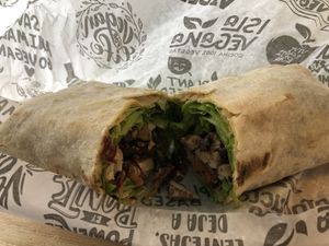   at Isla Vegana in Ushuaia