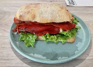   at Isla Vegana in Ushuaia