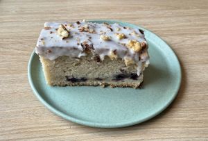   at Isla Vegana in Ushuaia