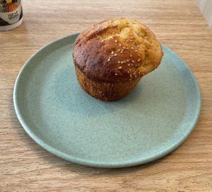   at Isla Vegana in Ushuaia