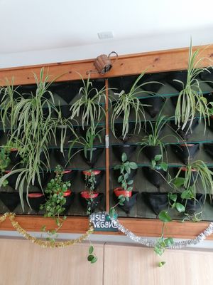 Inside the shop at Isla Vegana in Ushuaia