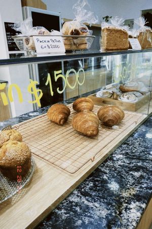   at Isla Vegana in Ushuaia