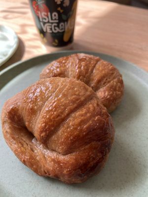   at Isla Vegana in Ushuaia