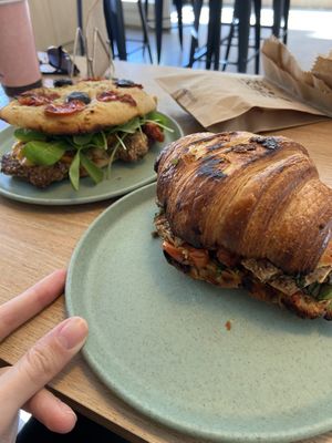   at Isla Vegana in Ushuaia