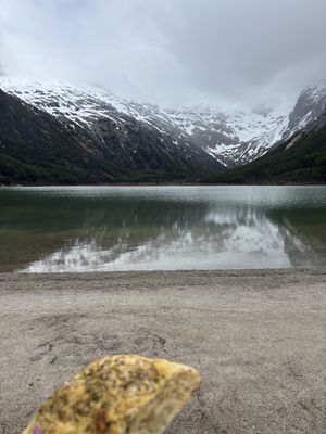   at Isla Vegana in Ushuaia