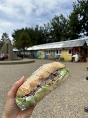 Seitan milanesa 😋  at Isla Vegana in Ushuaia