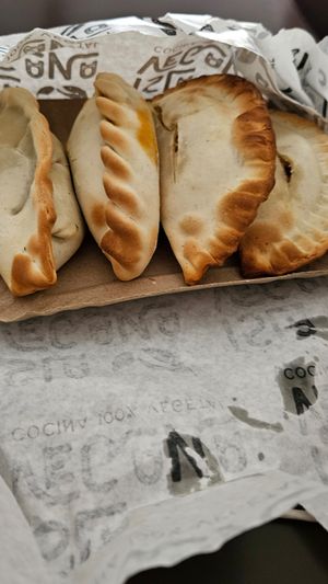  at Isla Vegana in Ushuaia