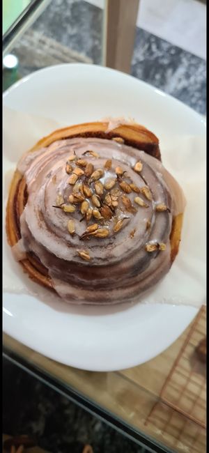  at Isla Vegana in Ushuaia