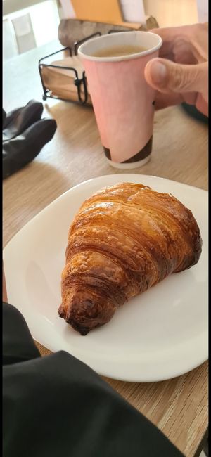  at Isla Vegana in Ushuaia