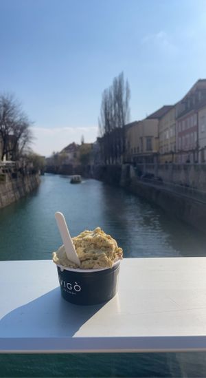   at Vigó - Kongresni Trg in Ljubljana