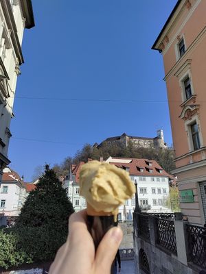  at Vigó - Kongresni Trg in Ljubljana