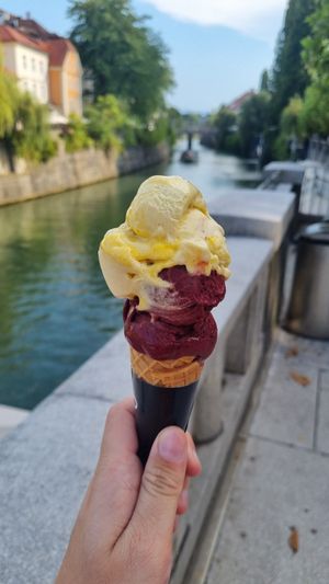  at Vigó - Kongresni Trg in Ljubljana