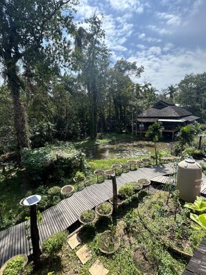   at Spa Cafe in Koh Chang