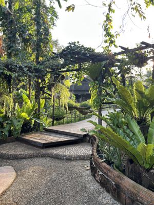   at Spa Cafe in Koh Chang