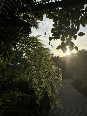   at Spa Cafe in Koh Chang