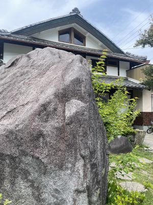 We sat in the garden because we were traveling with our dogs 🐾  Vegan food and outdoor seating is rare in this area!!!   at Sun Rice Kitchen in Hyogo