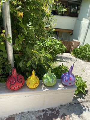   at Garden Organic Restaurant in Kruje