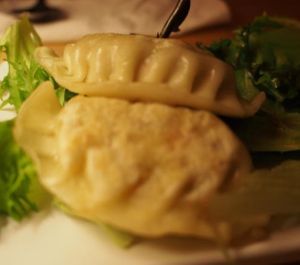 Gyoza at Plus Eight Six - Vegie & Tea in Hobart