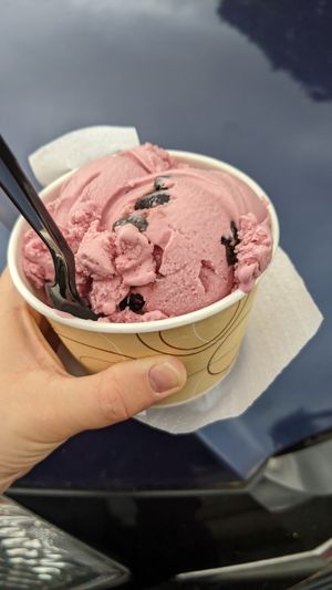  at Riverside Ice in Port Jervis