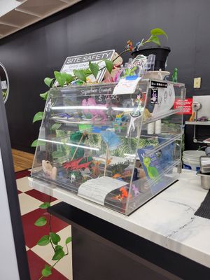  at Cocina Plantosaurus in Charles Town