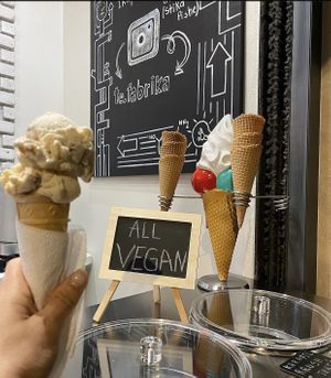   at Fabrika in Tirana