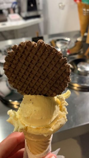 Passion Fruit Ice Cream at Fabrika in Tirana