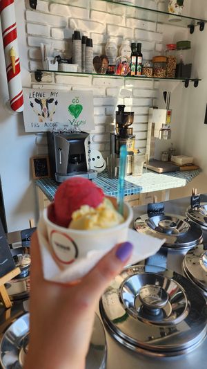  at Fabrika in Tirana