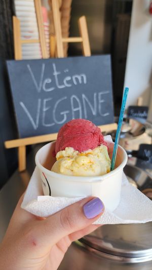  at Fabrika in Tirana