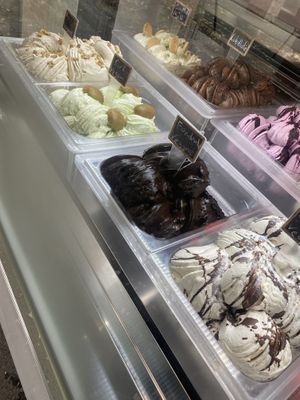 All those on the front row are vegan   at Fabrika in Tirana