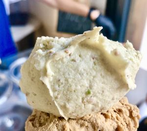 Fig  at Fabrika in Tirana