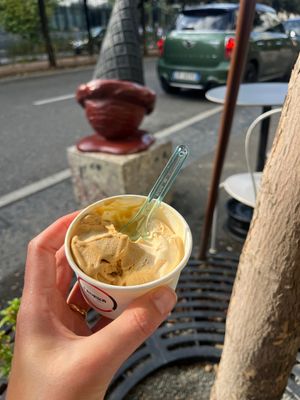 So many vegan flavours!  at Fabrika in Tirana